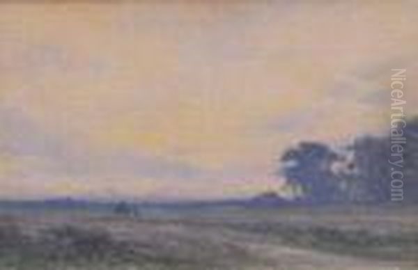 Buckleburycommon, Berks - view 1