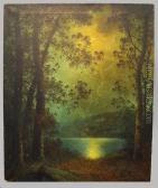 Moonlit Landscape - view 1