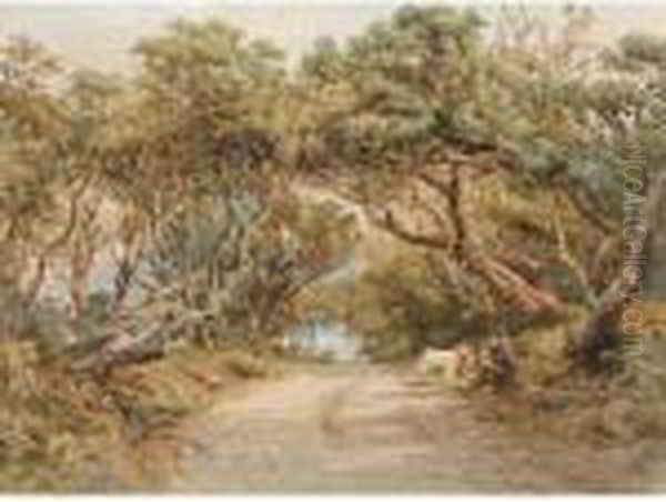 Killarney - view 1