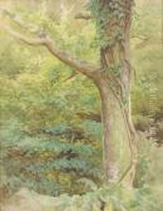 A Wooded Glade by Kate Greenaway