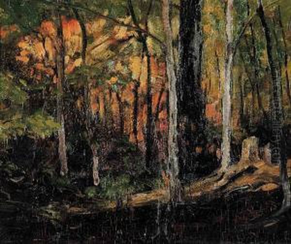 October Woods - view 1