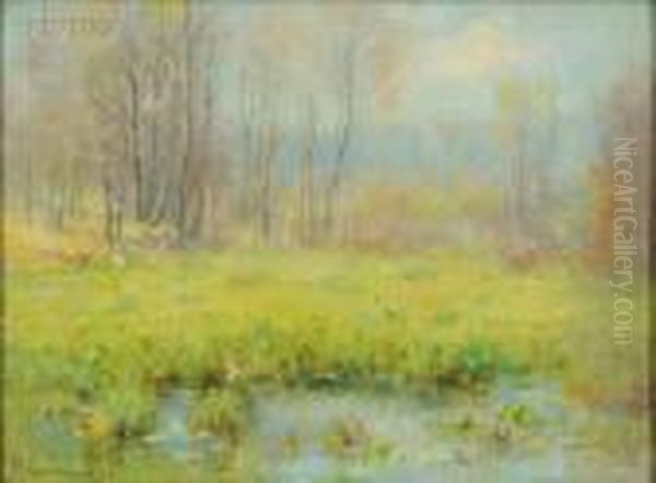 Spring Field - view 1
