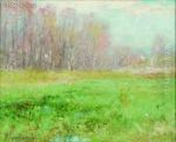 Spring Field - view 1