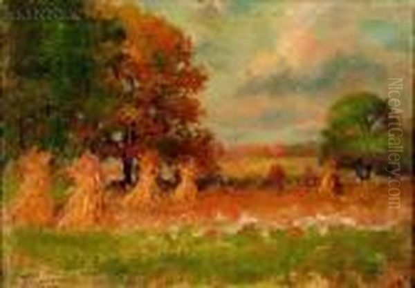 Field With Haystacks - view 1