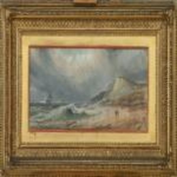 Stormy Costal Scenery - view 1