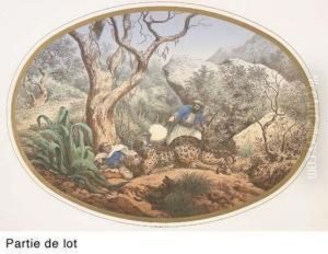 Chasse Au Tigre Chasse Au Tigre