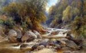 Rocky River Rapids