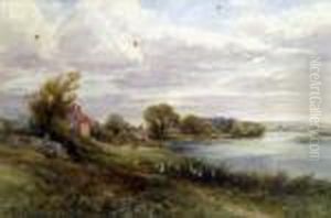 Ducks And Cattle By The River