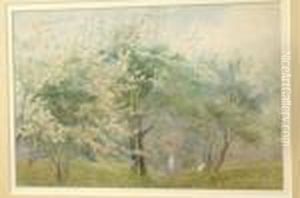 The Spring Walk, With Trees In Blossom by James Stephen Gresley