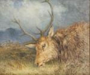 Fallen Deer by Alfred Grey