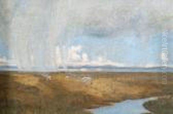 Salt Marsh Sheep On A Showery Day - view 1