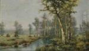 Birches By A Stream