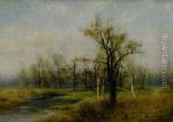 Summer Birches - view 1