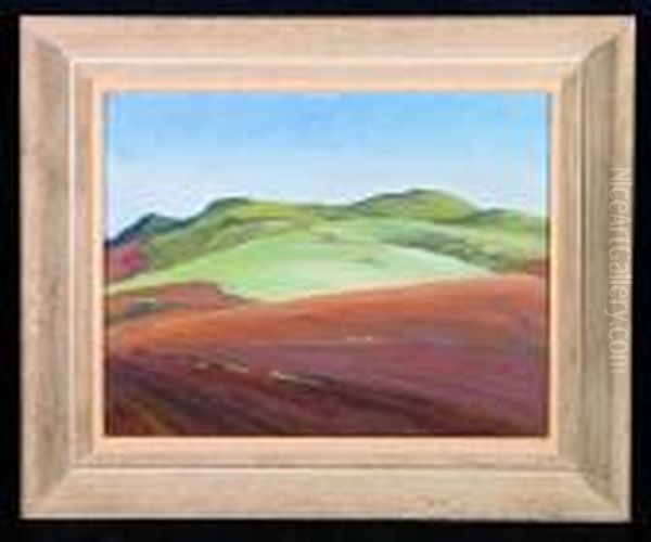 Tilled Soil With Rolling Hills Beyond - view 1