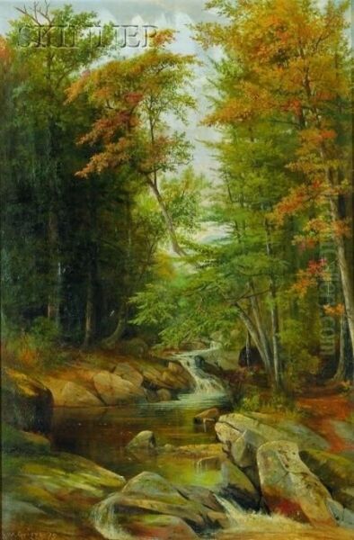 Forest And Stream Landscape - view 1