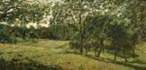 Parque Parque