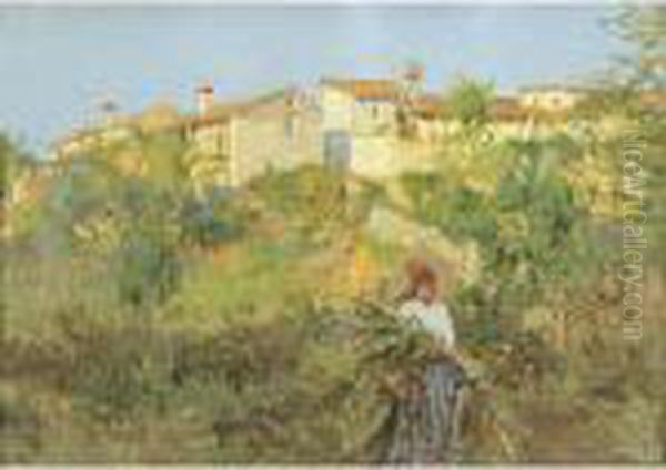 Il Raccolto - view 1