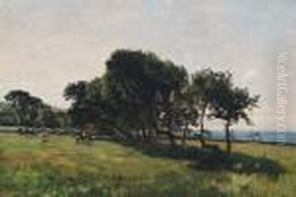 Landscape - view 1