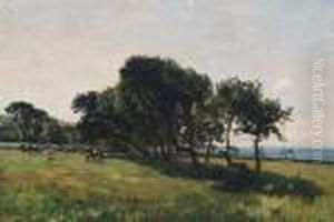 Landscape by Johannes Martin Grimelund
