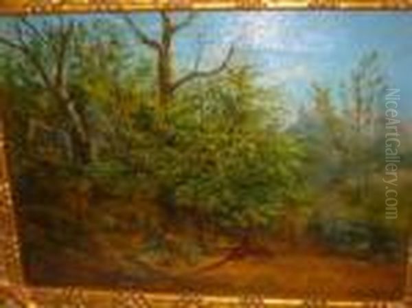 A Brace Of Pheasants In A Woodland Clearing - view 1
