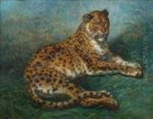 Leopard Apair