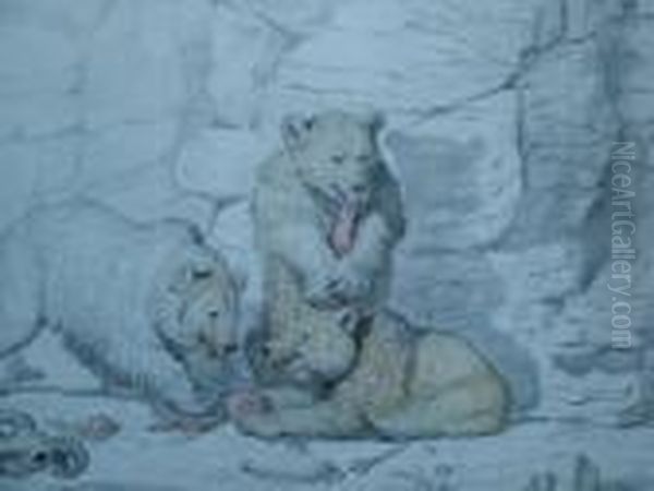 A Family Of Bears On A Crag;
Black Crayon With Touches Of Watercolour, Signed, 48.5x78.5cm - view 1
