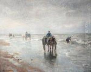 Muschelfischer Am Strand