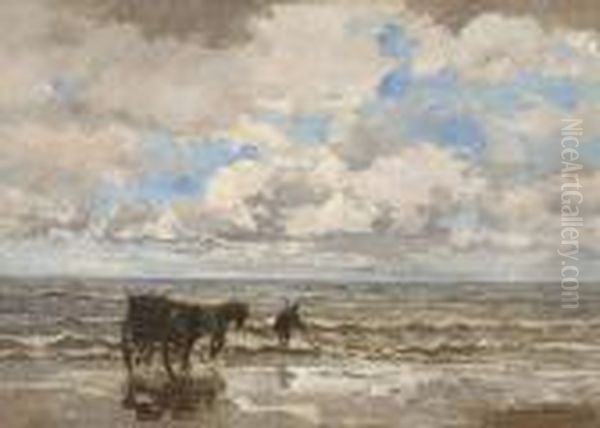 Muschelfischer Amstrand - view 1