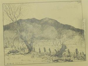 American, - View Of Taos, Newmexico And Other Western Vistas: Eight American, - View Of Taos, Newmexico And Other Western Vistas: Eight