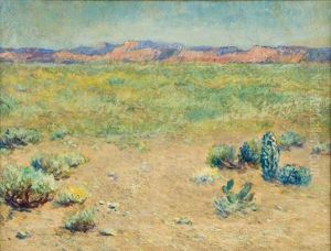 Arizona Desert