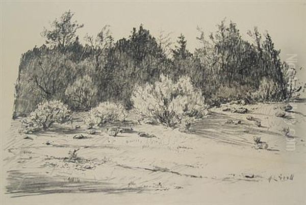Landscape With Trees - view 1