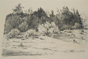 Landscape With Trees by Albert Lorey Groll
