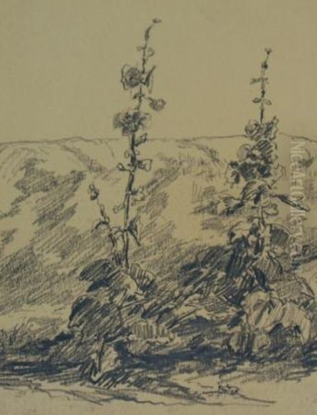 Southwestern Trees - view 1
