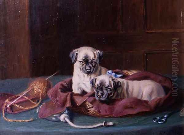 Pug Puppies in a Basket - view 1
