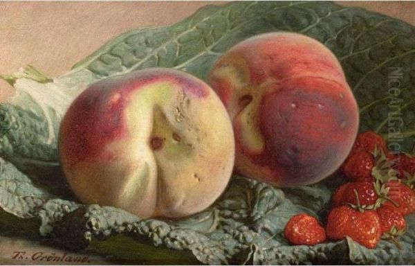 Still Life - view 1