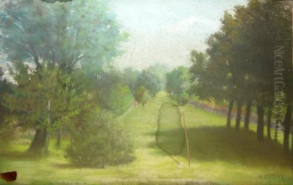 Alee Intr-un Parc - view 1