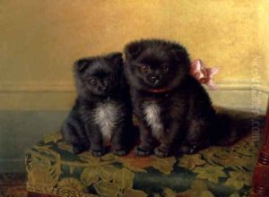 Two Chow Pups Seated On A Chair In An Interior Two Chow Pups Seated On A Chair In An Interior