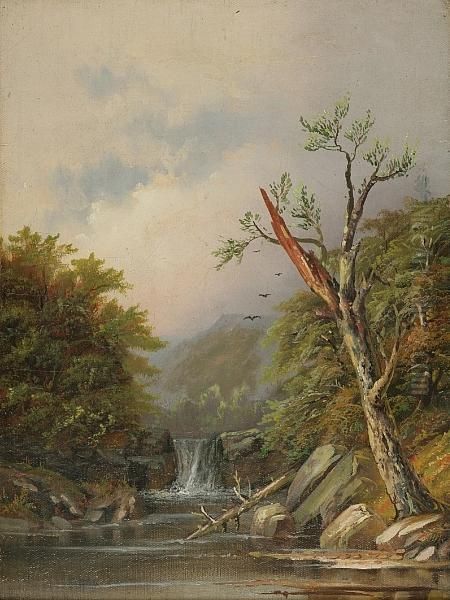 Landscape Of A Waterfall - view 1