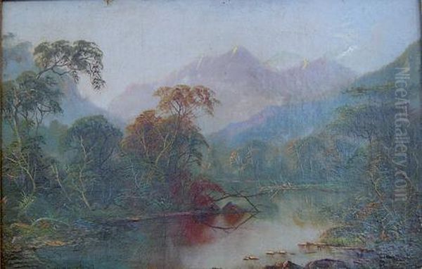 Landscape - view 1