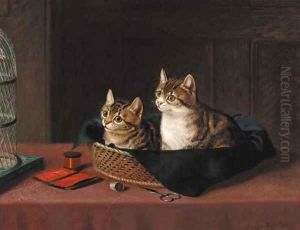 Two kittens in a basket watching a bird in a cage
