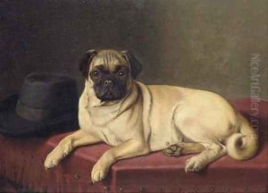 Waiting for Master - A pug on a stool