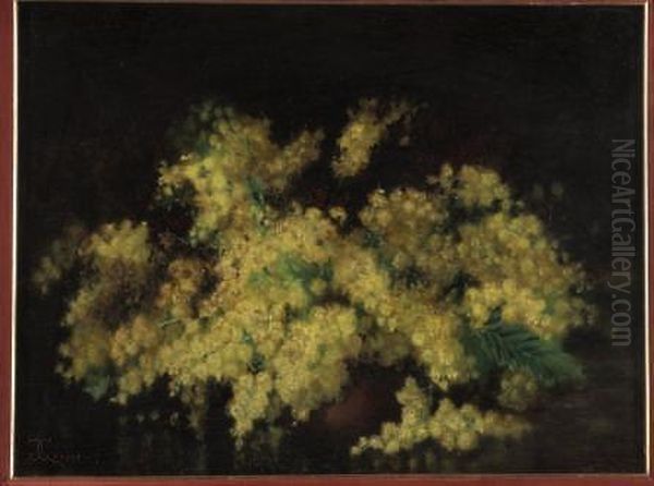 "mimose" 1919 - view 1