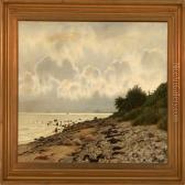 Coastal Scenery From Elsinore - view 1
