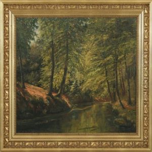 Forest Scenery Forest Scenery