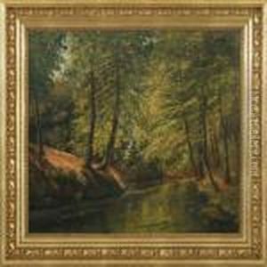 Forrest Scenery Forrest Scenery