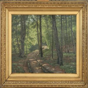 Forest Scenery Forest Scenery