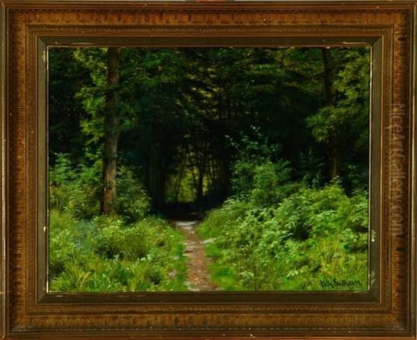 Path In Danish Beech Wood - view 1