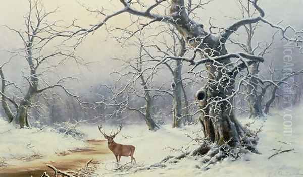 A Stag in a wooded landscape - view 1