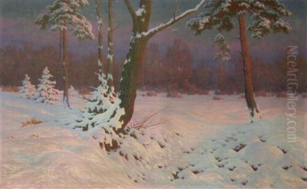 Arbres Sous La Neige : Effet De Soleilcouchant - view 1