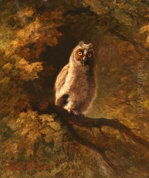 The Owl In The Forest - view 1